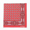 Wholesale E.Marinella Red Hand-Printed Silk Pocket Square - Paisley Pattern