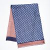 New E.Marinella Bluette And Pink Double Silk Scarf